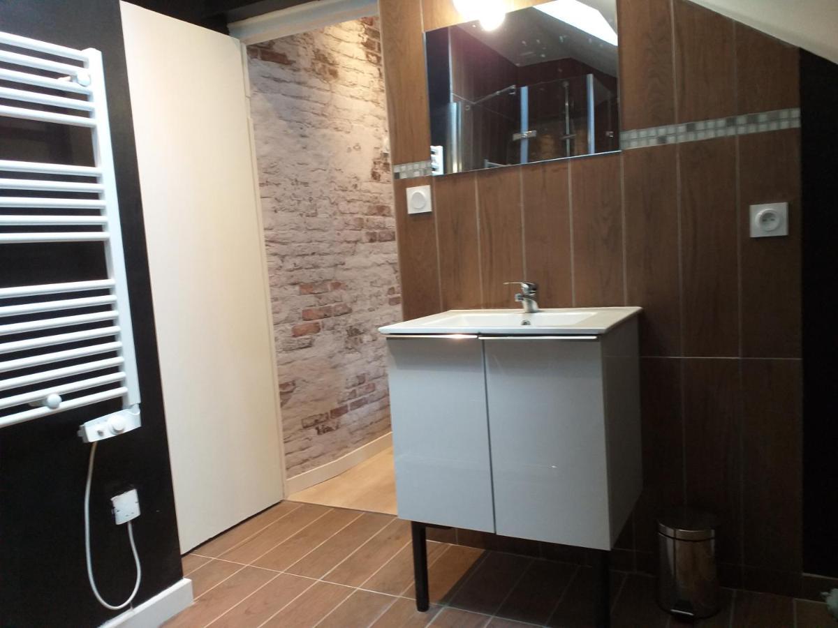 Les Volets Bleus - Deux Appartements Et Un Studio, Jardin Bourges Eksteriør billede