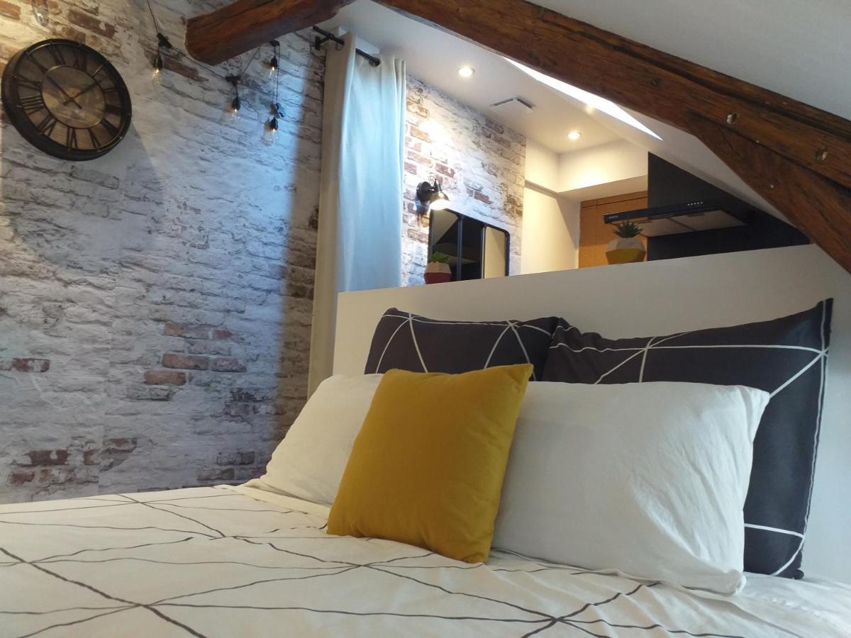 Les Volets Bleus - Deux Appartements Et Un Studio, Jardin Bourges Eksteriør billede