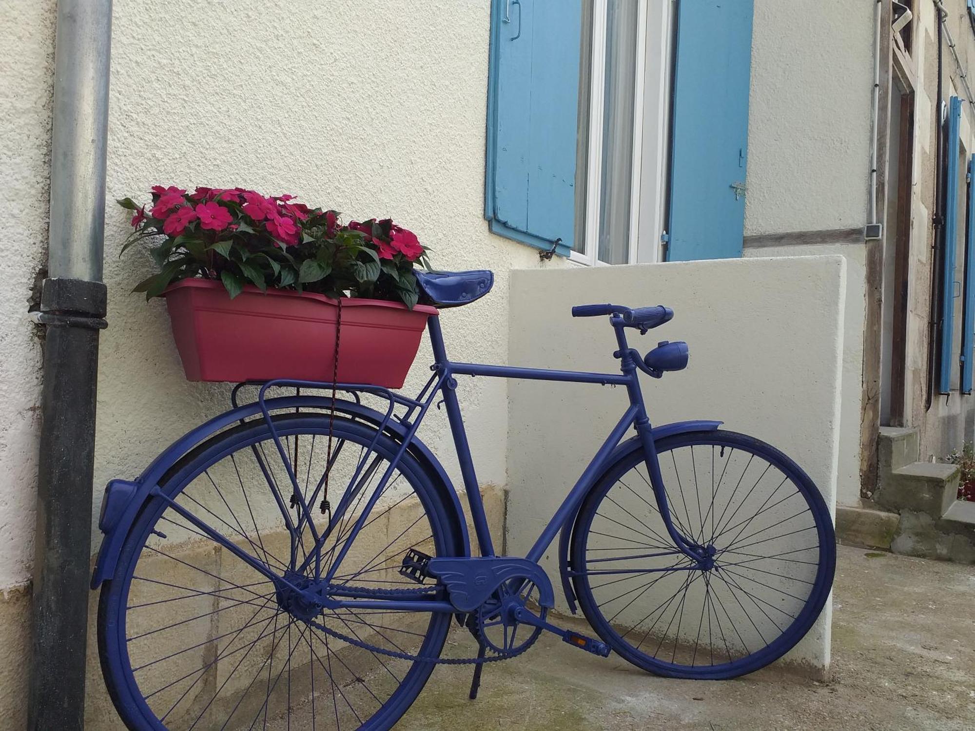 Les Volets Bleus - Deux Appartements Et Un Studio, Jardin Bourges Værelse billede