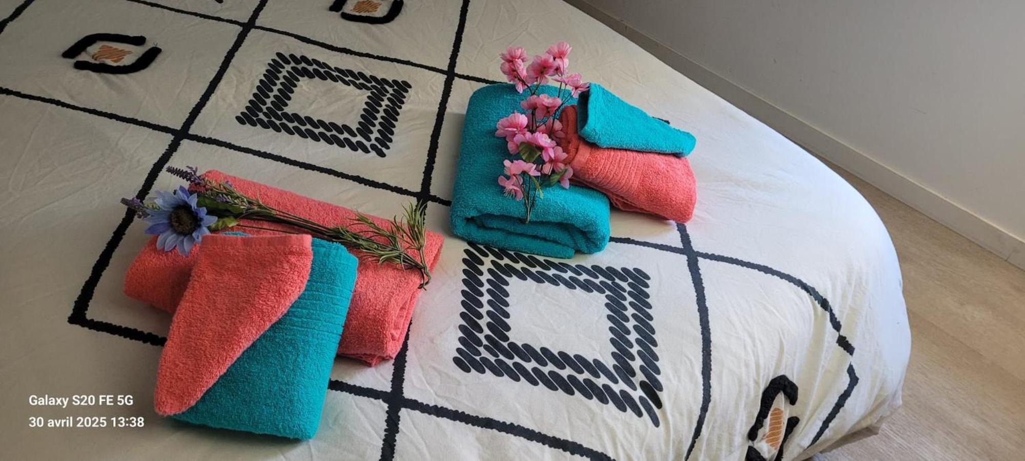 Les Volets Bleus - Deux Appartements Et Un Studio, Jardin Bourges Eksteriør billede